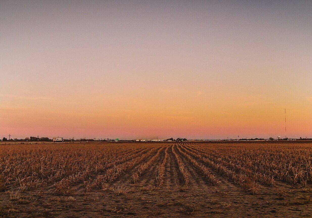 agriculture Texas farm fields